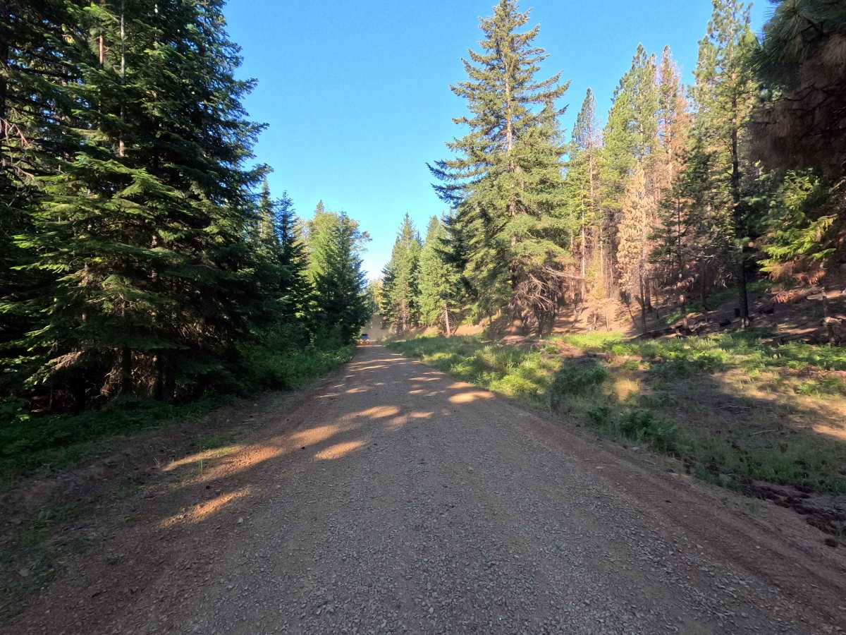 Stafford Creek Road - FS 9703 photo 3
