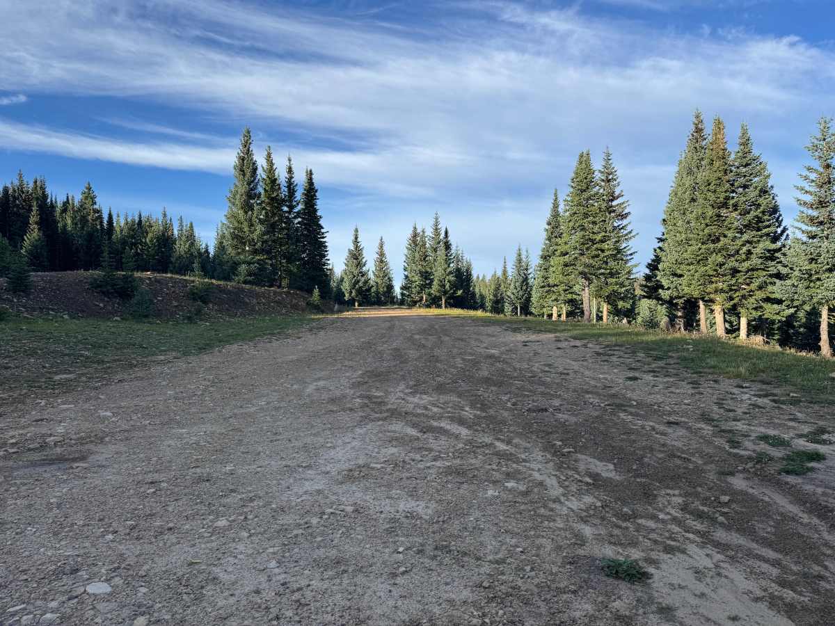 Taylor Creek Road photo 5