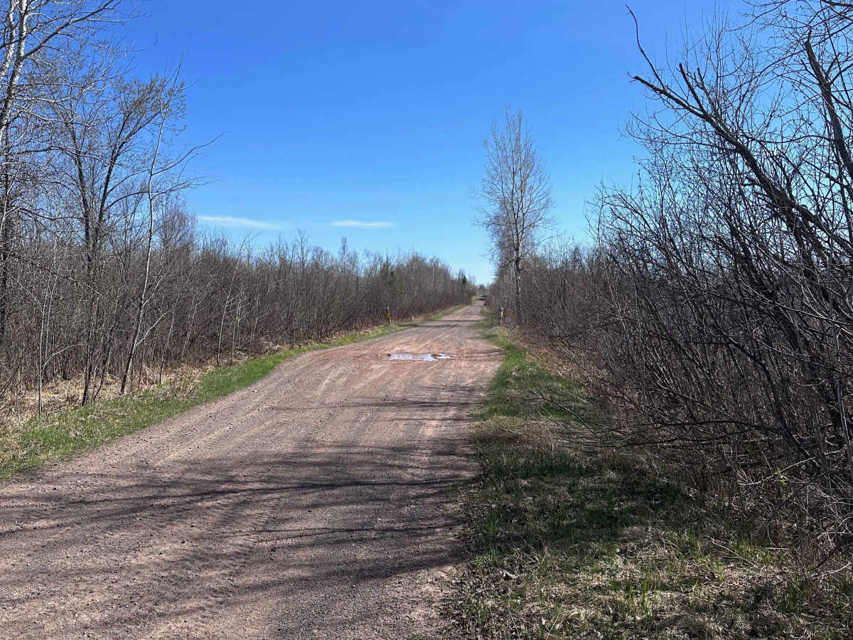 Mallard Lake Forest Road photo 2