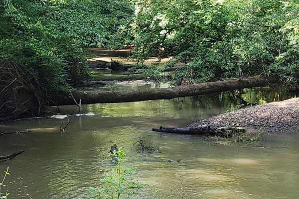 Indian Creek Trail