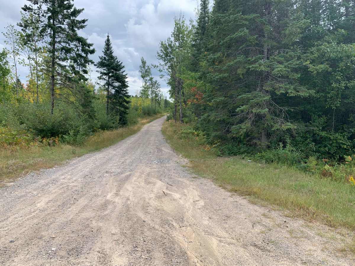 Samuelson Trail trail photo