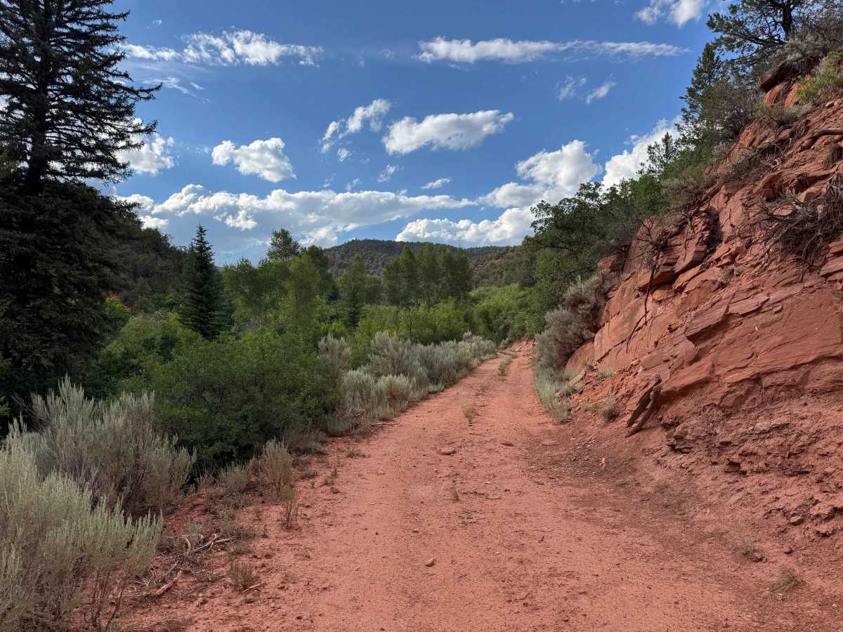 Red Dirt Basin Road - 611 trail photo