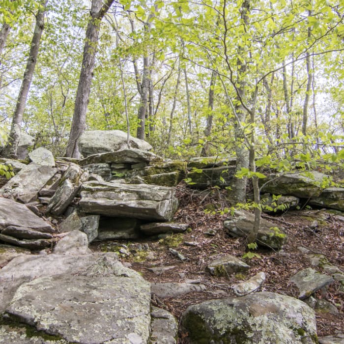 Near Chatfield Trail