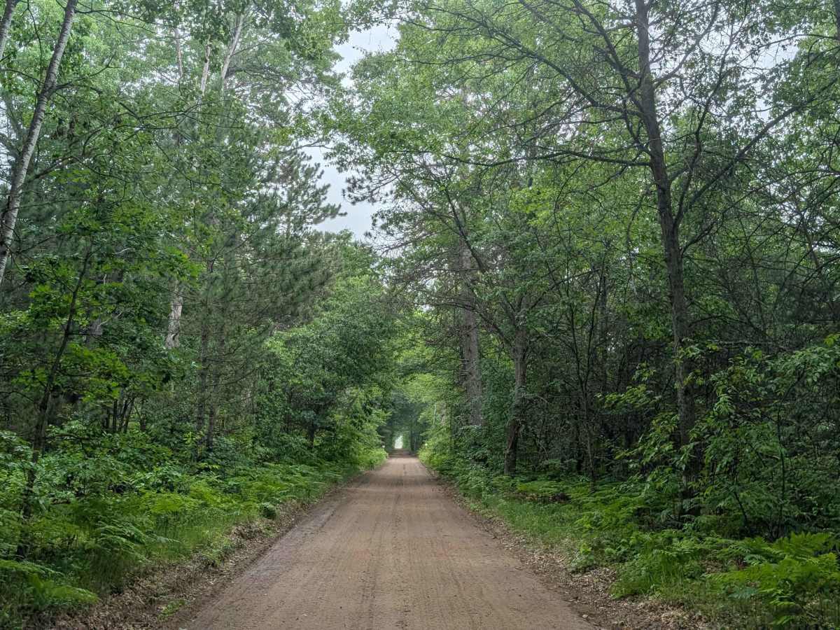 West Higgins Route Section 1 photo 5