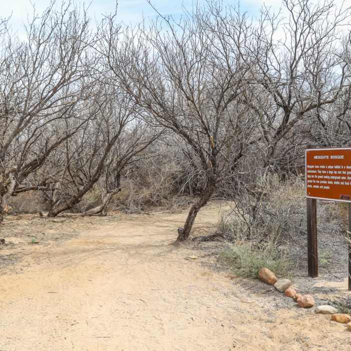 Near Dankworth Village Near Dankworth Village