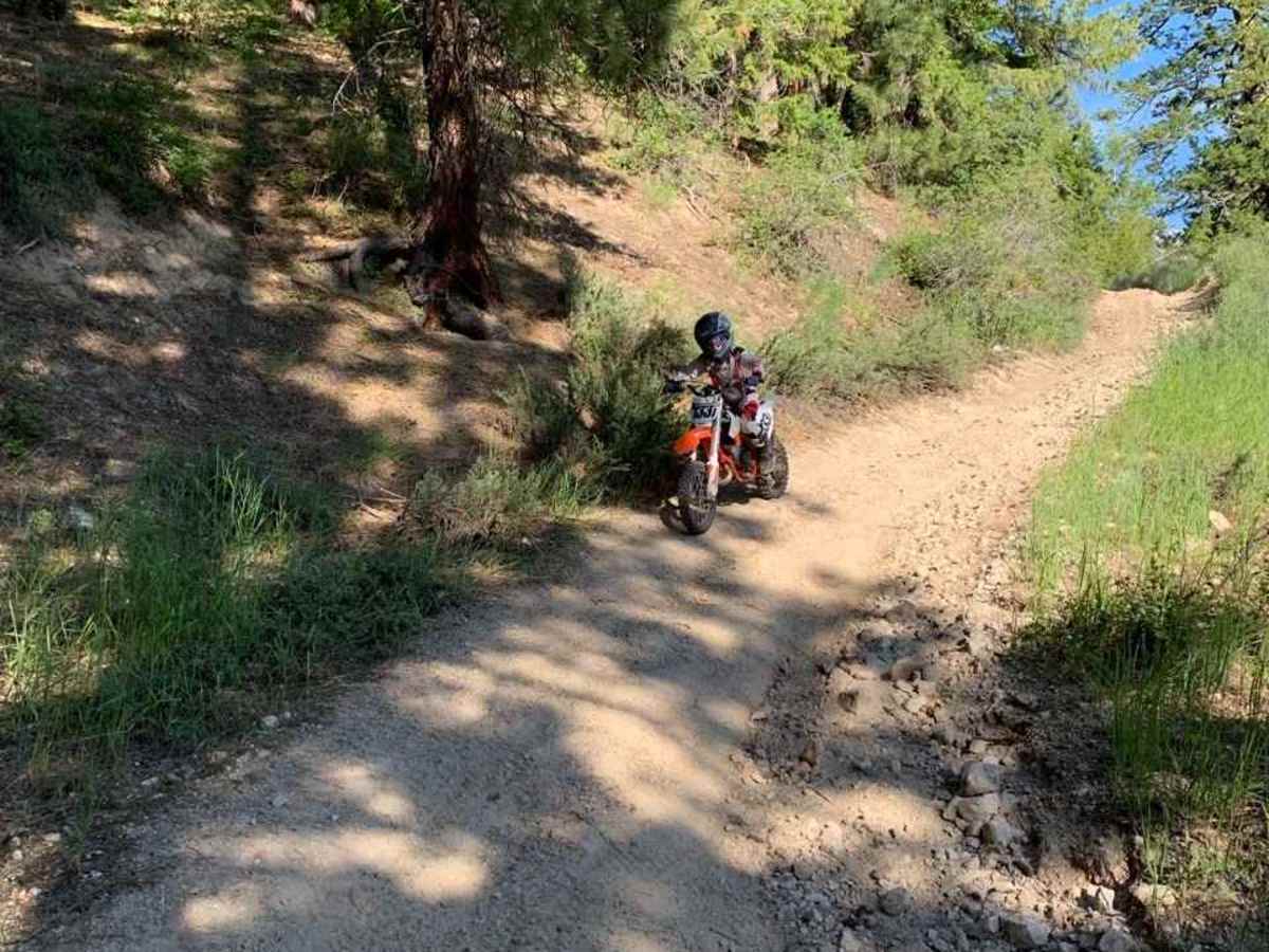 Pine Gulch photo 2