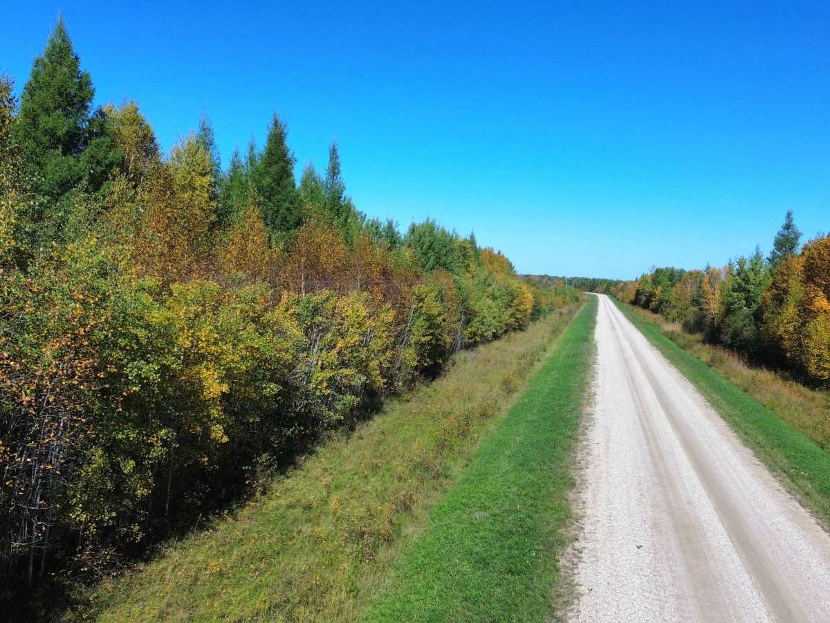 Birch River Road photo 6