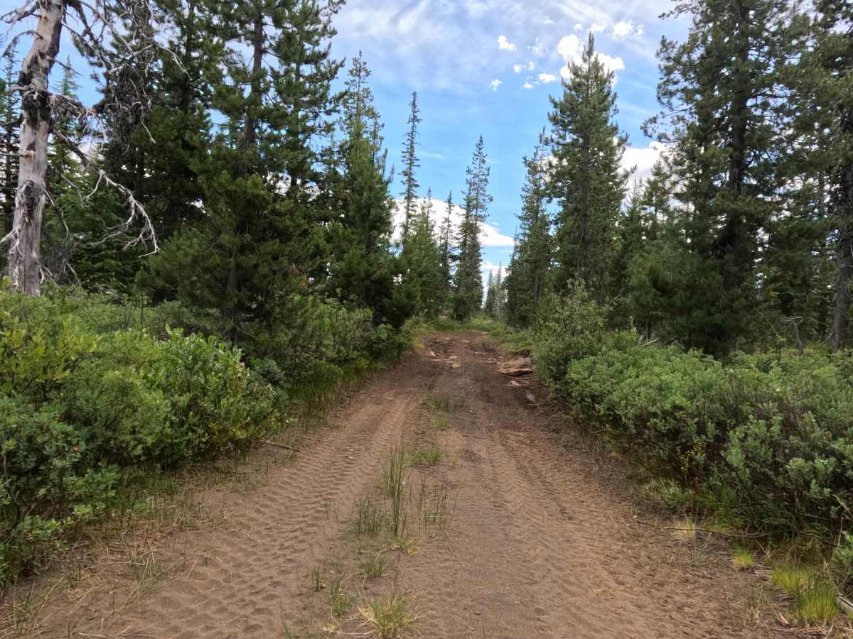 FS 2690-920 Northern Segment photo 3