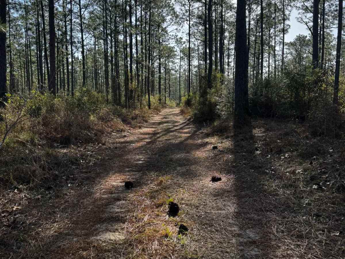 R 87 trail photo
