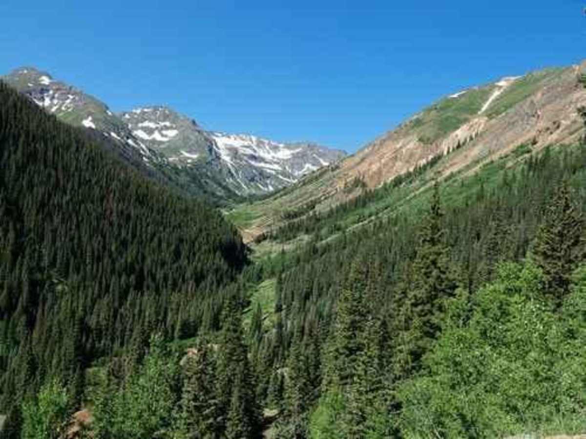 Eureka Gulch photo 4