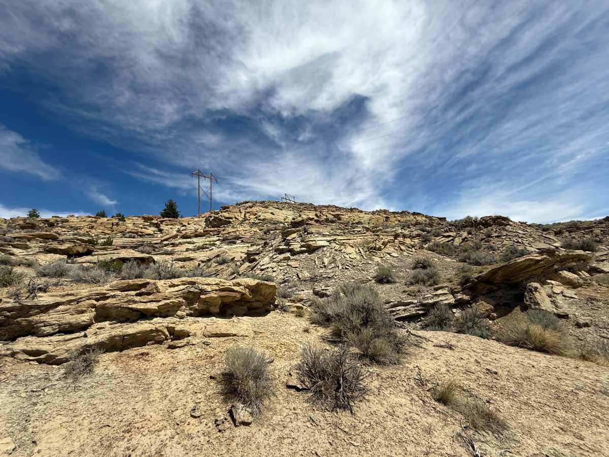 Bill's Trail photo 3