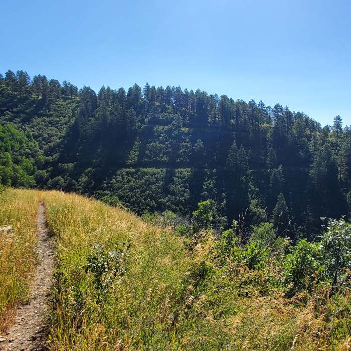 Parts of Westview Loop carved into the opposite hillside. Near Westview Loop