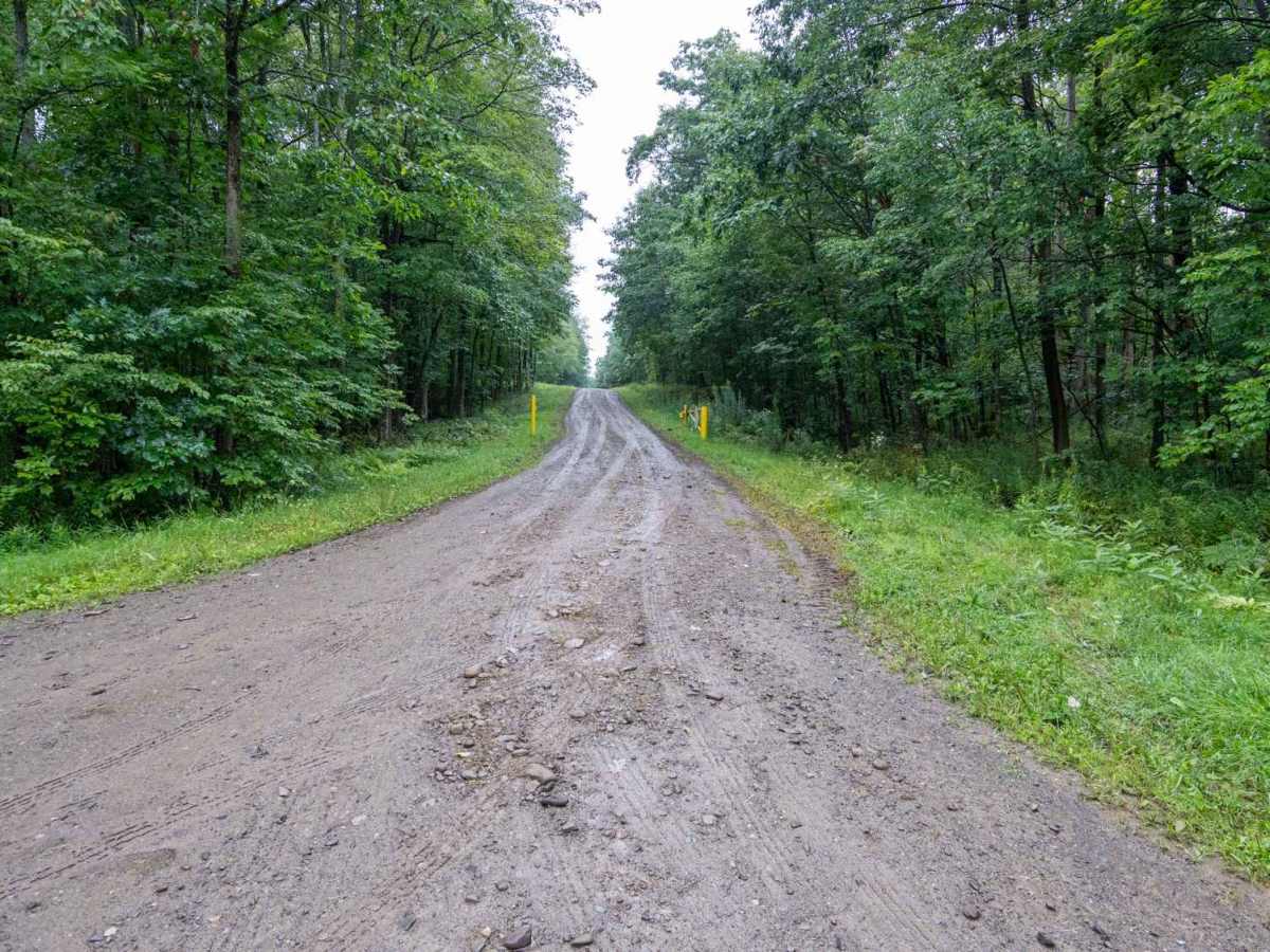 Eckert Road photo 2