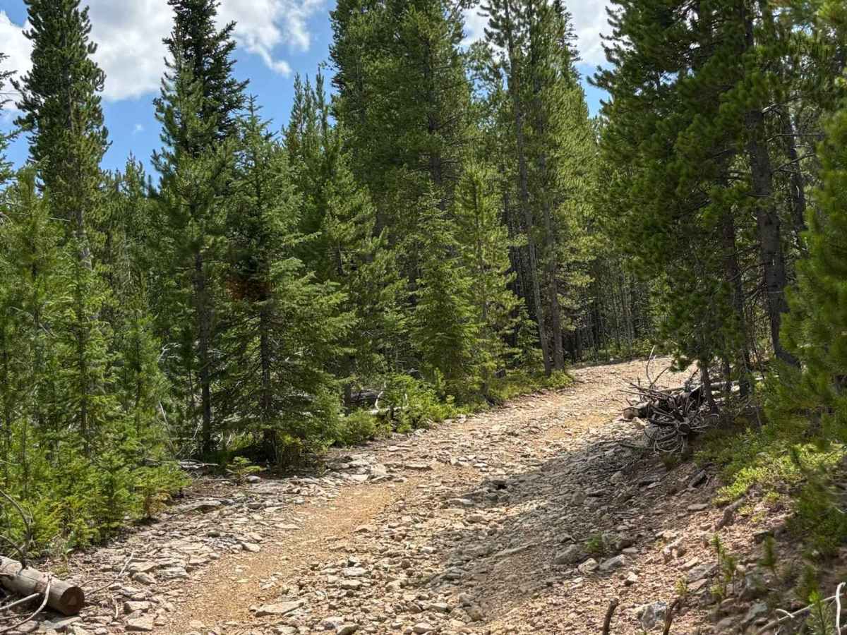 Parkview Mountain Mine Ingress photo 4