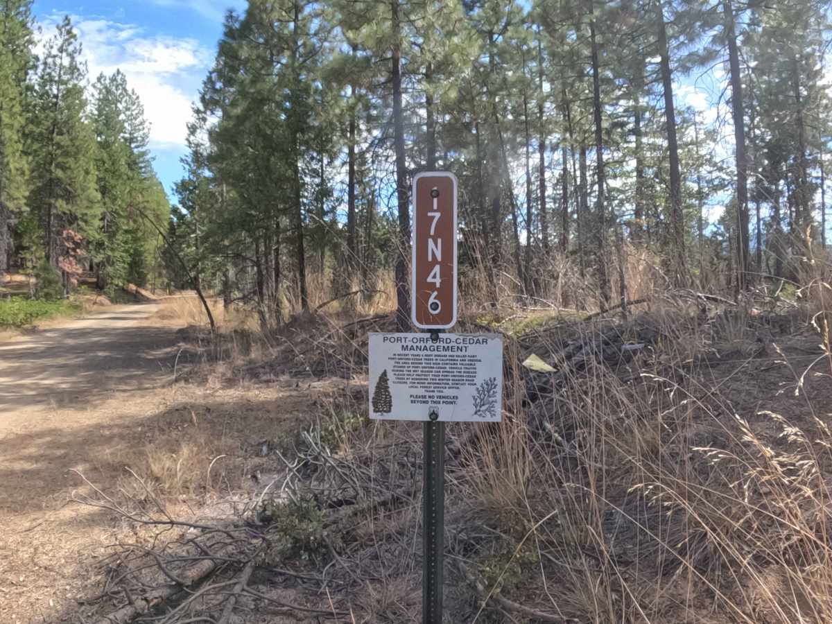 Cola - FS 17N46 trail photo