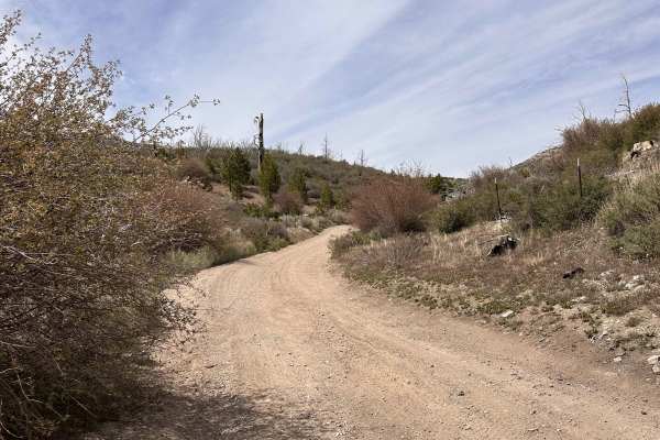 Saltbrush Trail