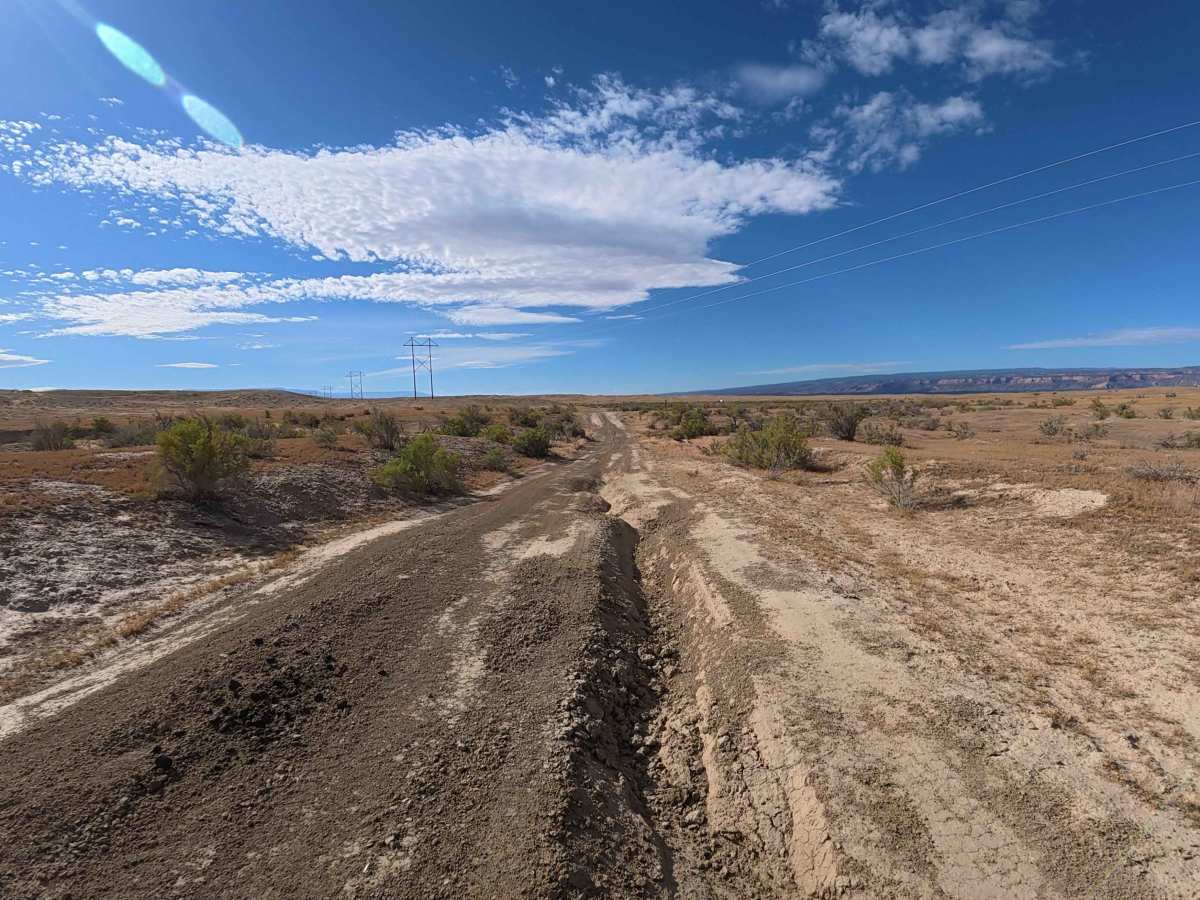 BLM 182 photo 5