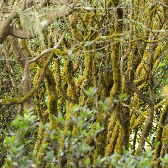 Near Jepson-Johnstone Beaches Loop