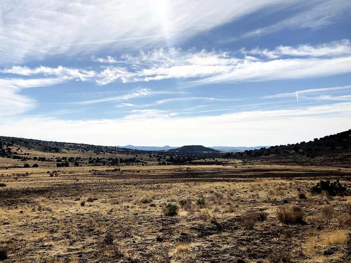 Reimer Road to Squaw Peak Road photo 3