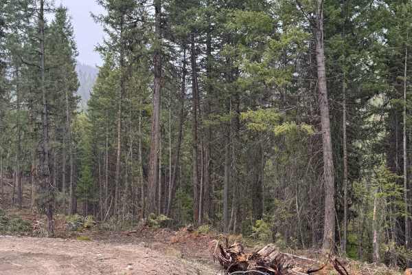 Echo Creek - FS 6113-325