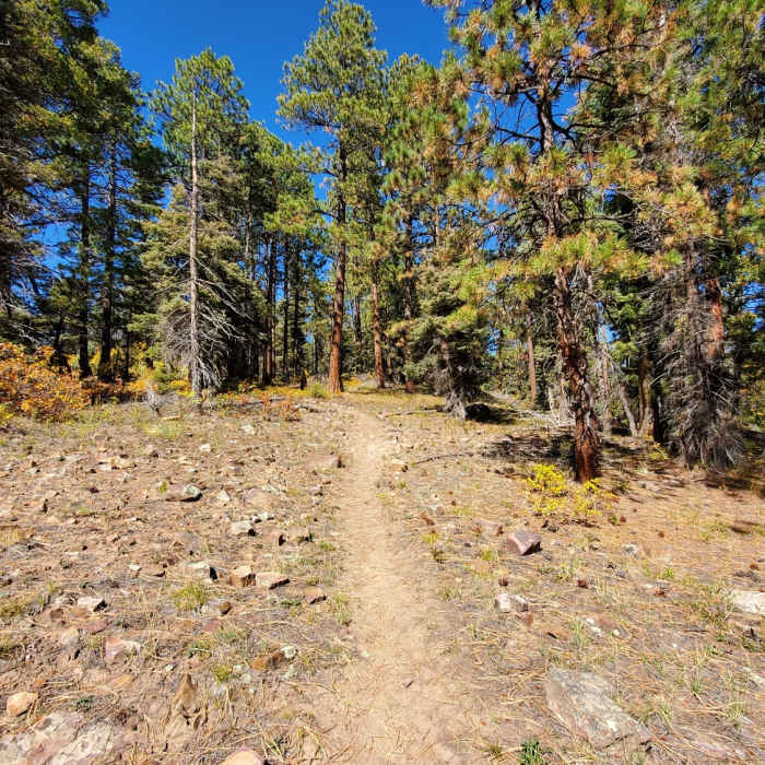 Near FS 071