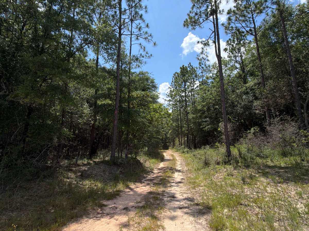 Prairie Trail photo 3