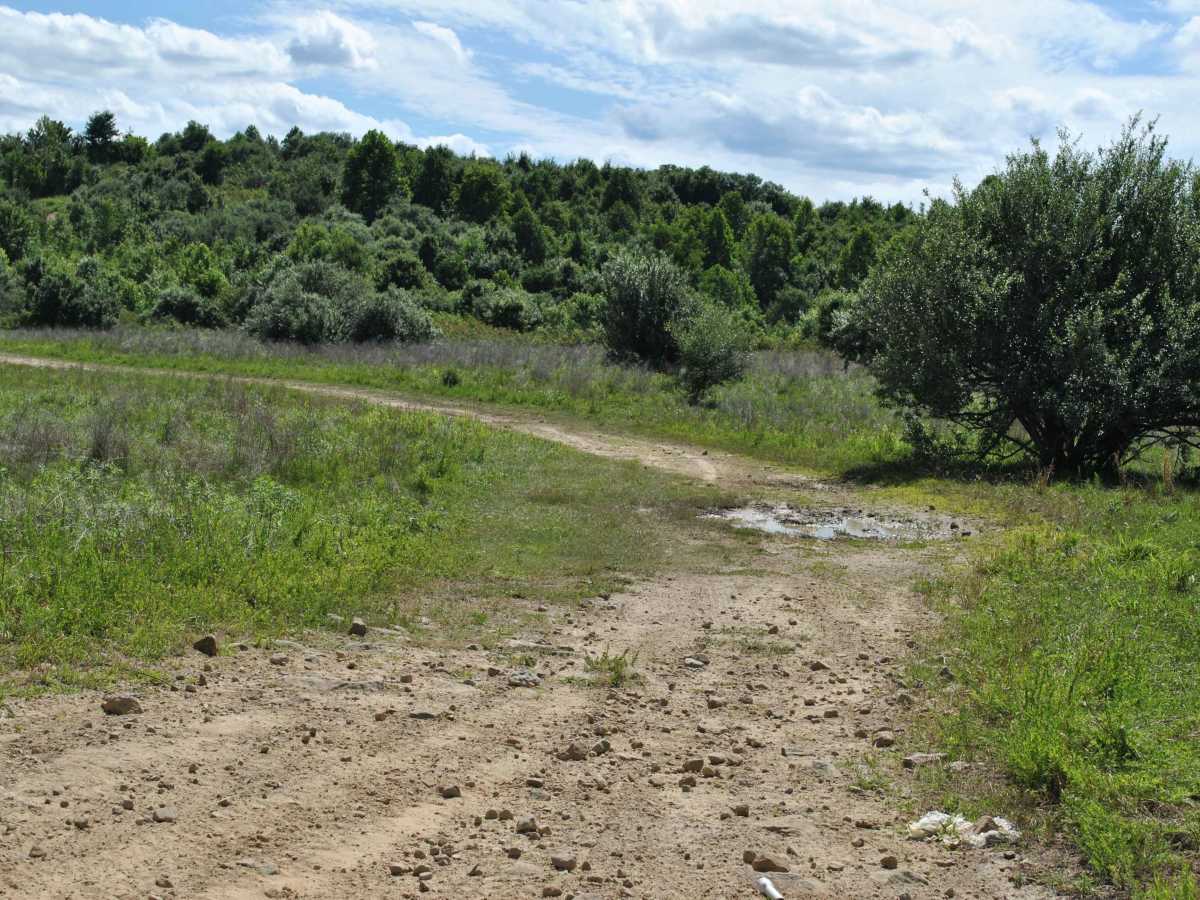 23A trail photo