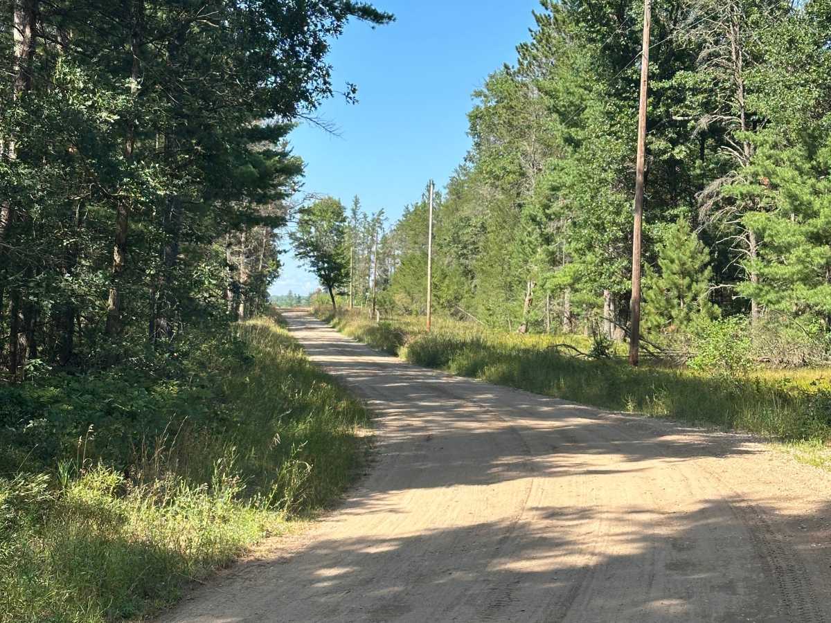 Jackson Avenue trail photo