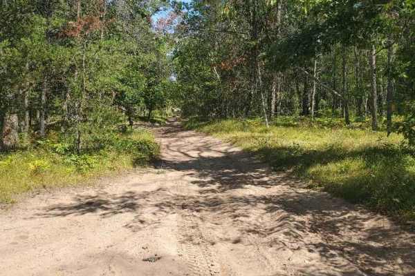 The Outer Dogman Trail