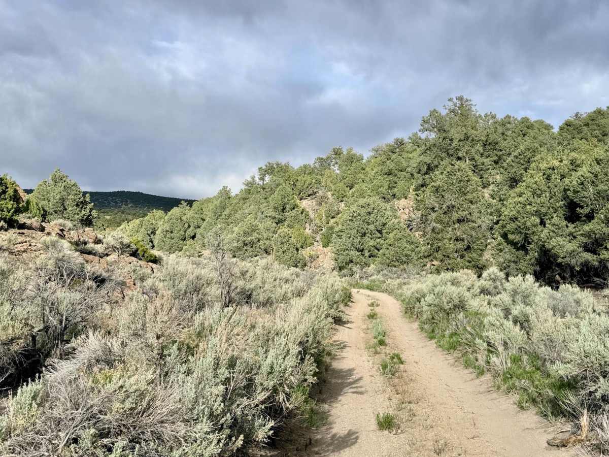 Long Canyon - FS 43375 photo 6
