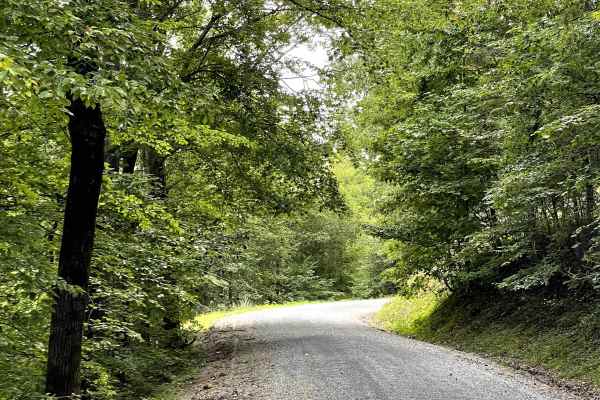 Blue Grass Trail