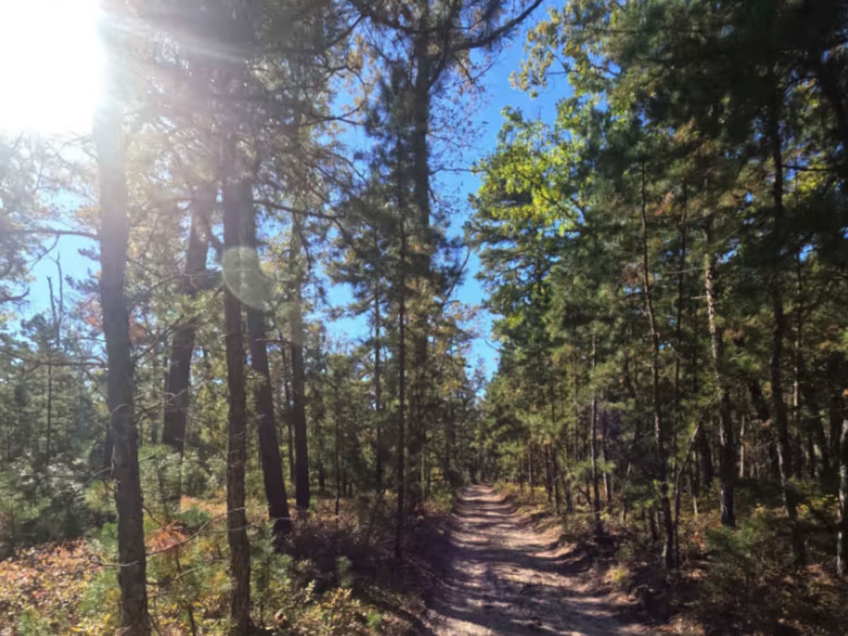 Washington Speedwell Road photo 4