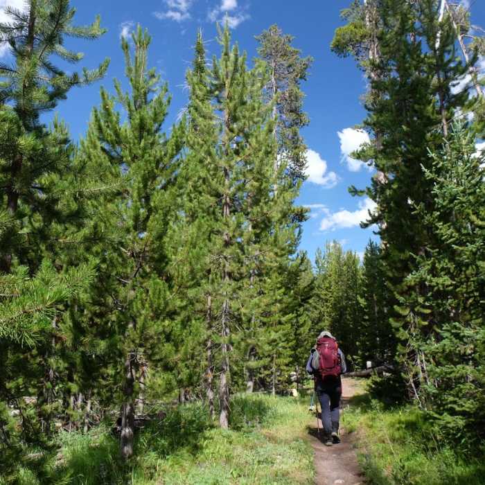 Near Heart Lake/Mt. Sheridan Near Heart Lake/Mt. Sheridan
