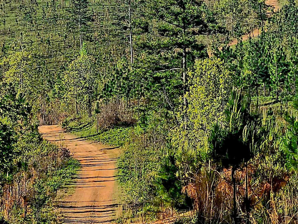 Alexander Ridge Trail trail photo