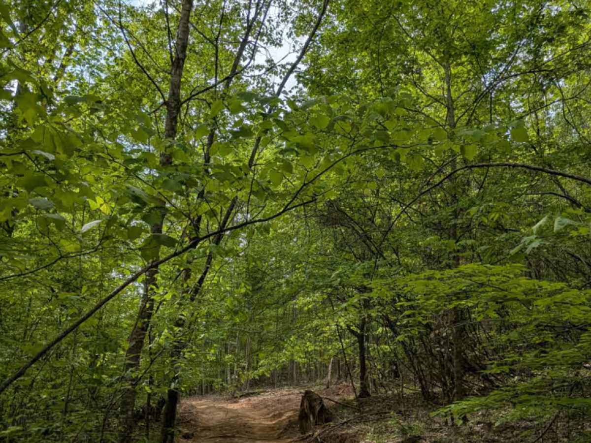 Trail 14 photo 3