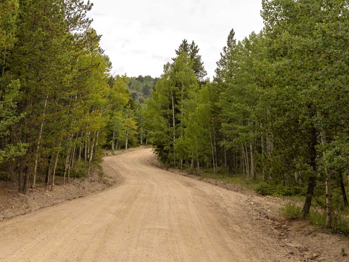 Nevadaville Loop photo 6