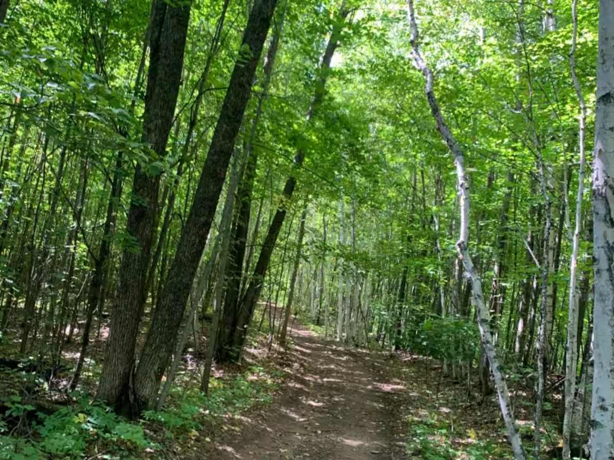 Berthiaume Trail trail photo