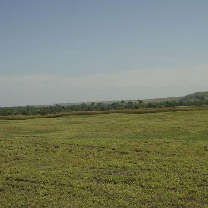 Near Village Trail