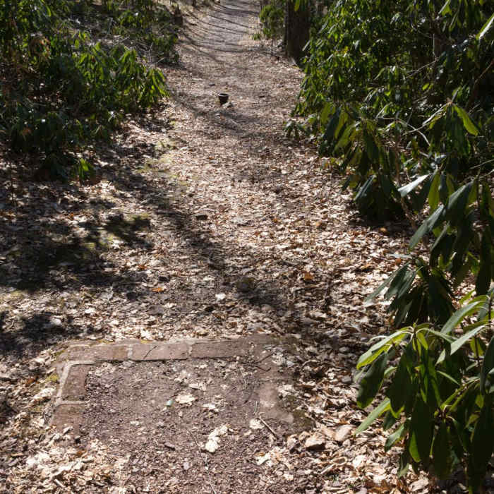 Near Sand Spring Trail