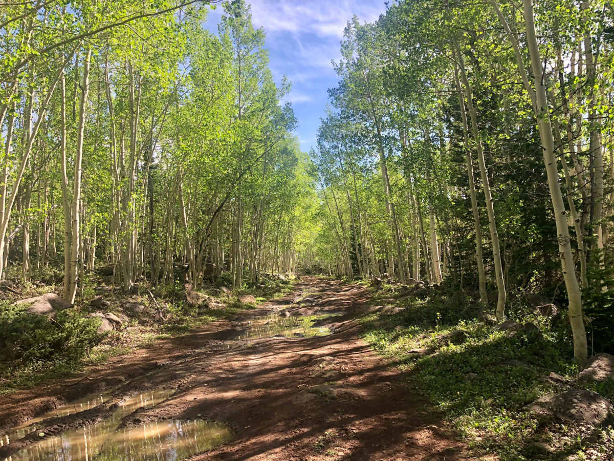 Red Desert Road photo 5