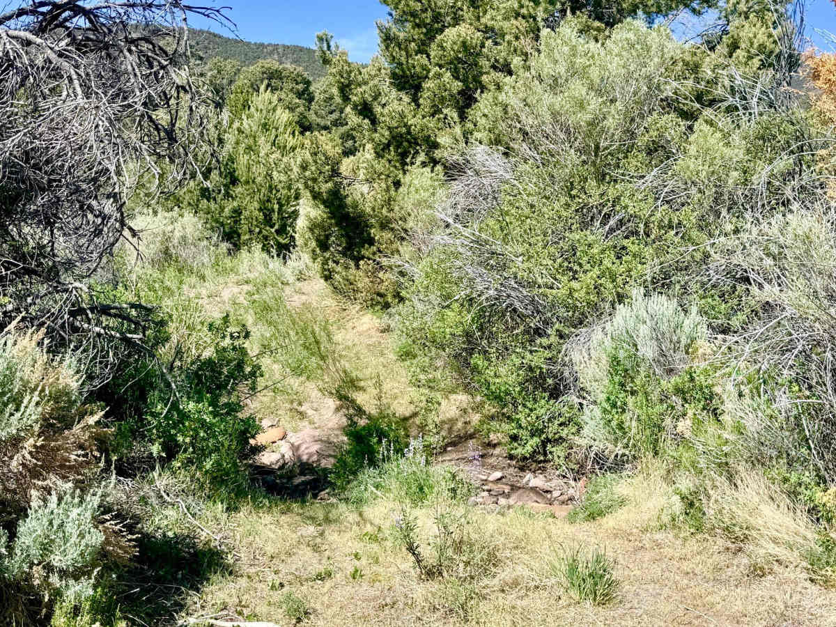 Faulkner Creek - FS 43266 photo 6