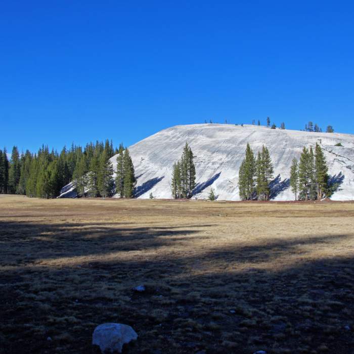 Near Tenaya Lake Trail