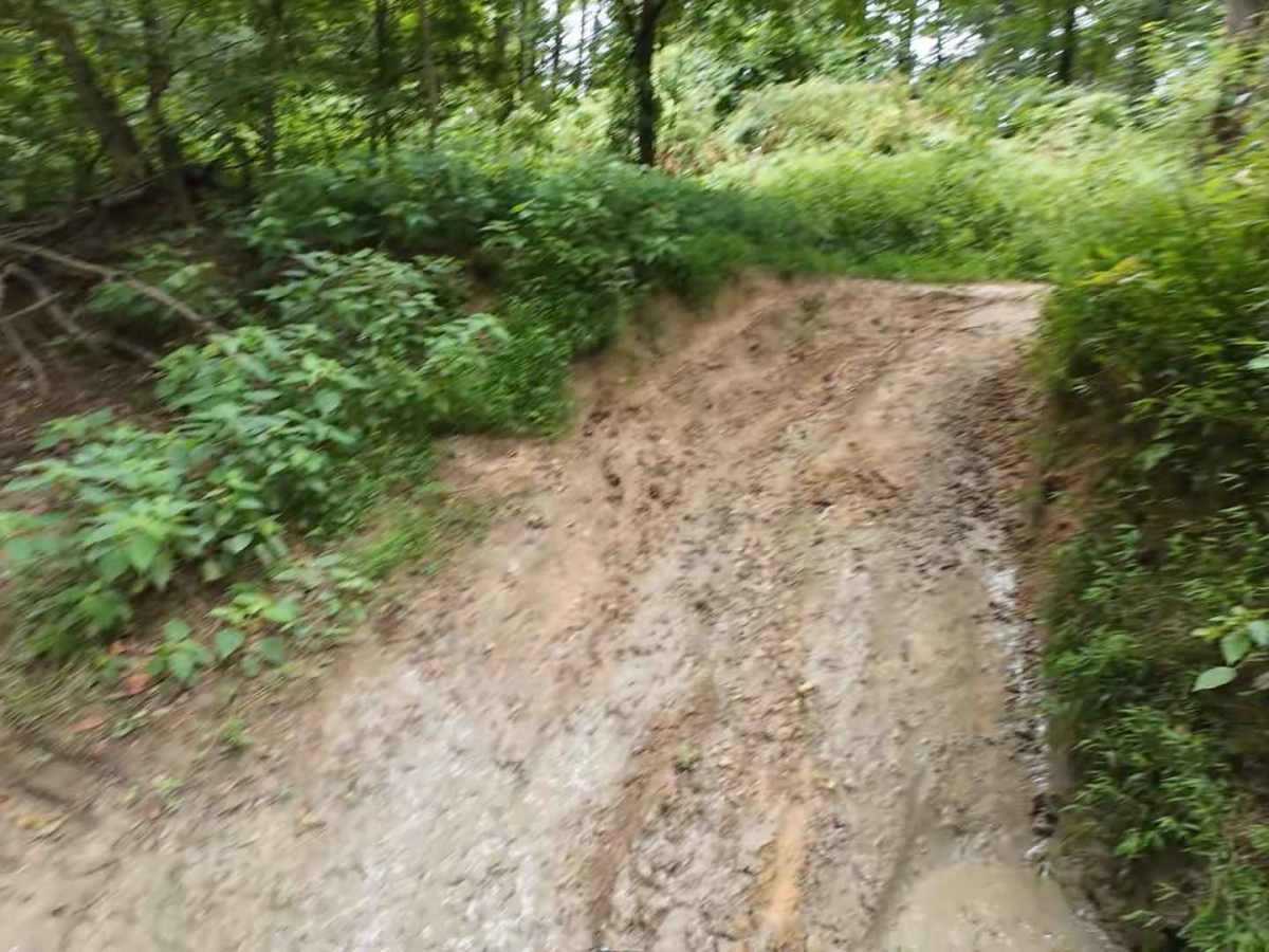 Wheeler Woods Trail photo 6