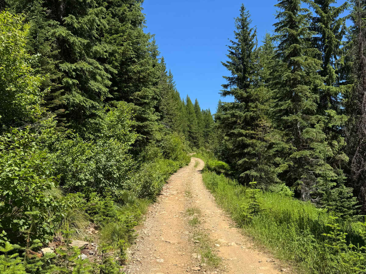 Dominion Creek photo 4