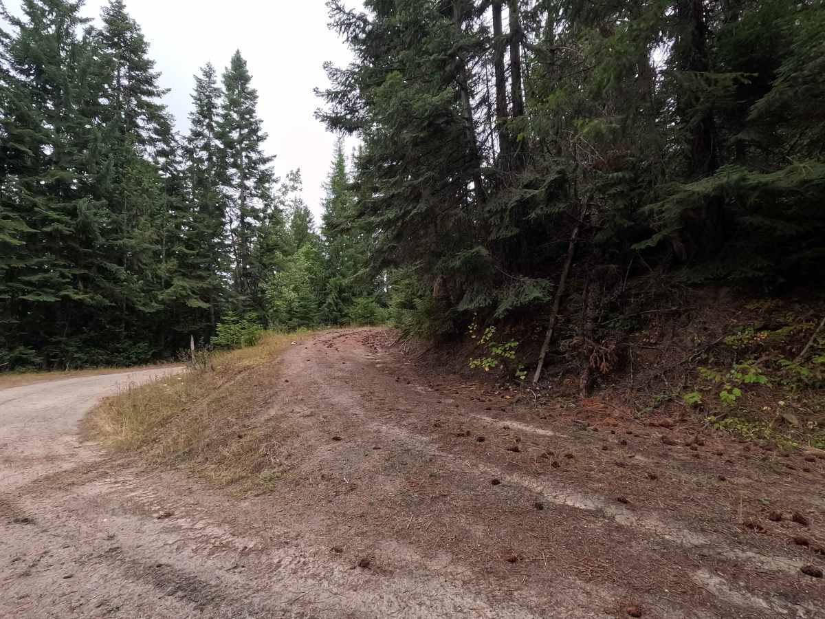 Burma - FS 1096 trail photo