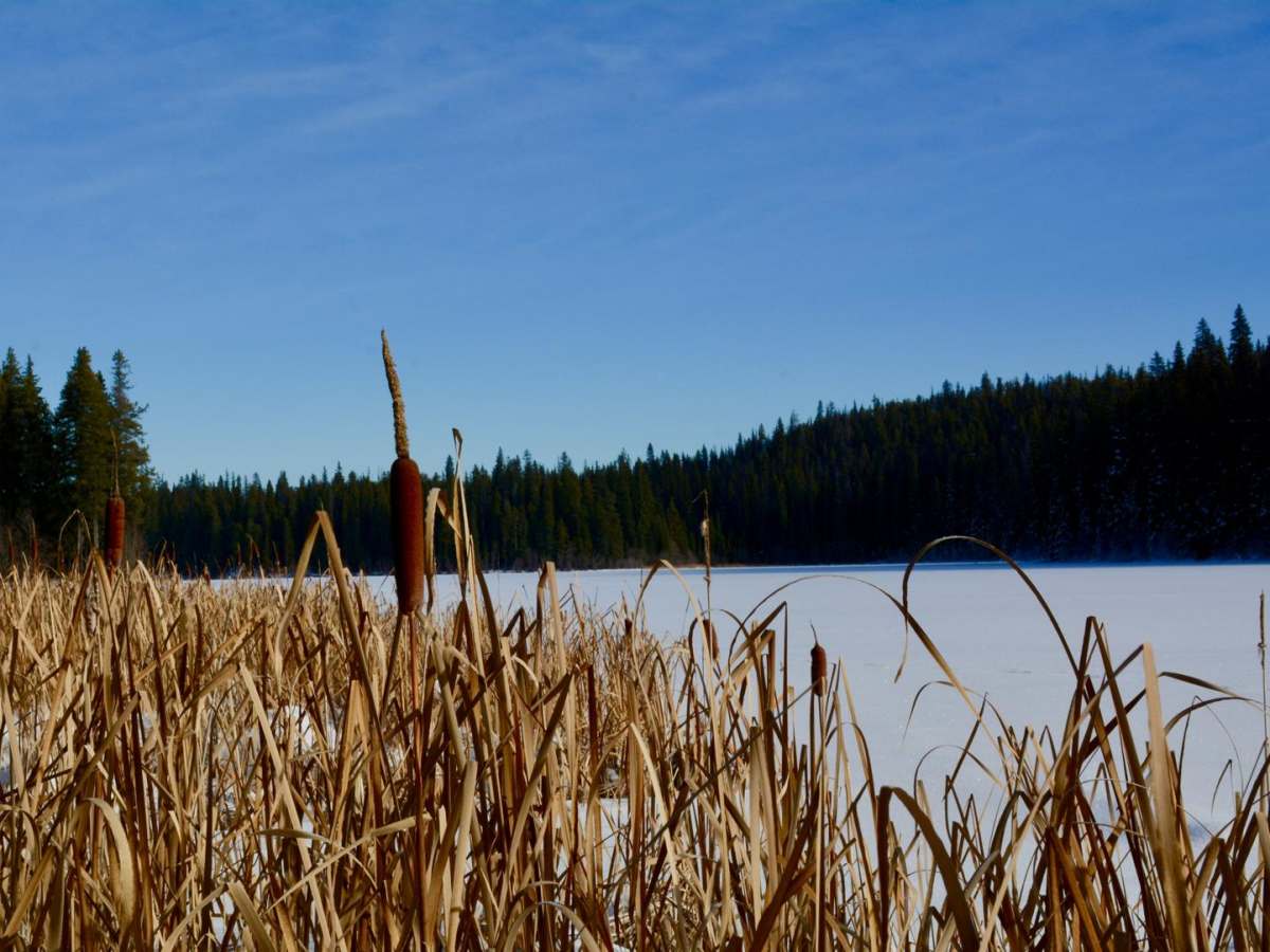 Beaver Lake Rd photo 2