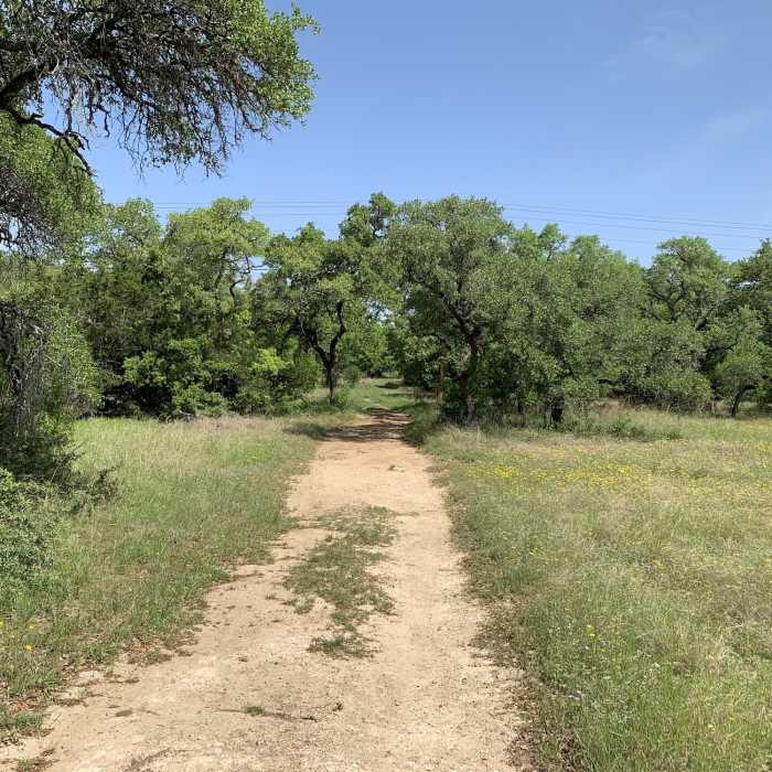 Near Painted Bunting Trail
