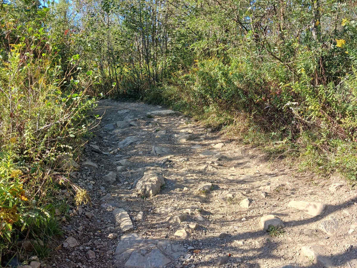 Inner Loop - East - Rock Run Recreation Area photo 5