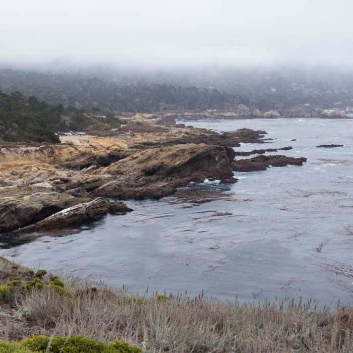 Near Sea Lion Point + Sand Hill Trails