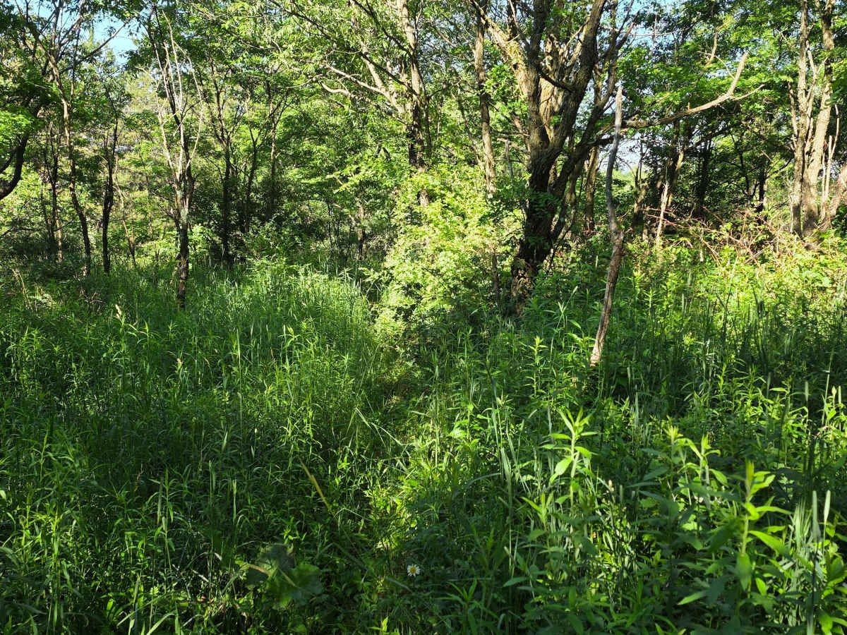 Single Track J3 photo 2